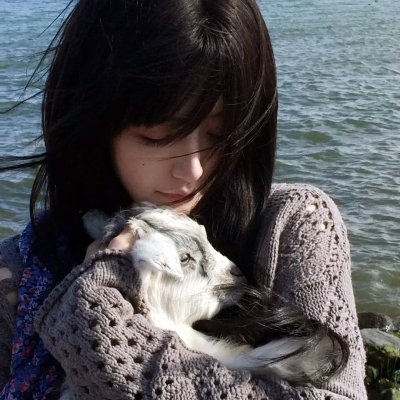 蝙蝠侠大战双面人